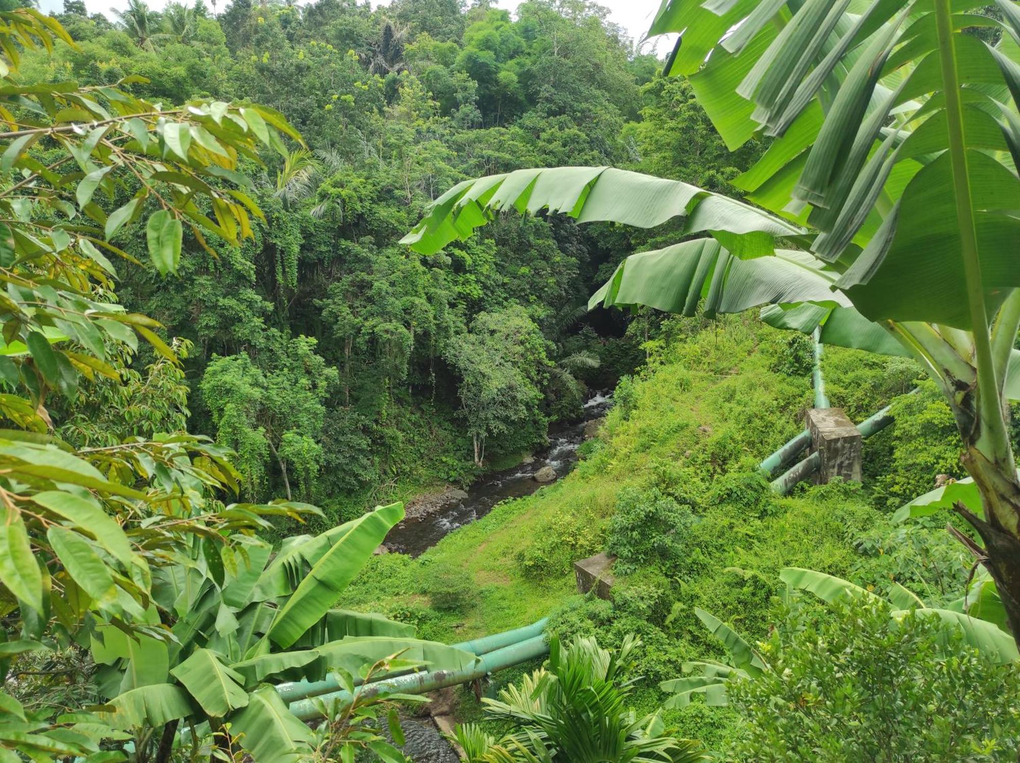 Goa Walet Cottage Praya Luaran gambar