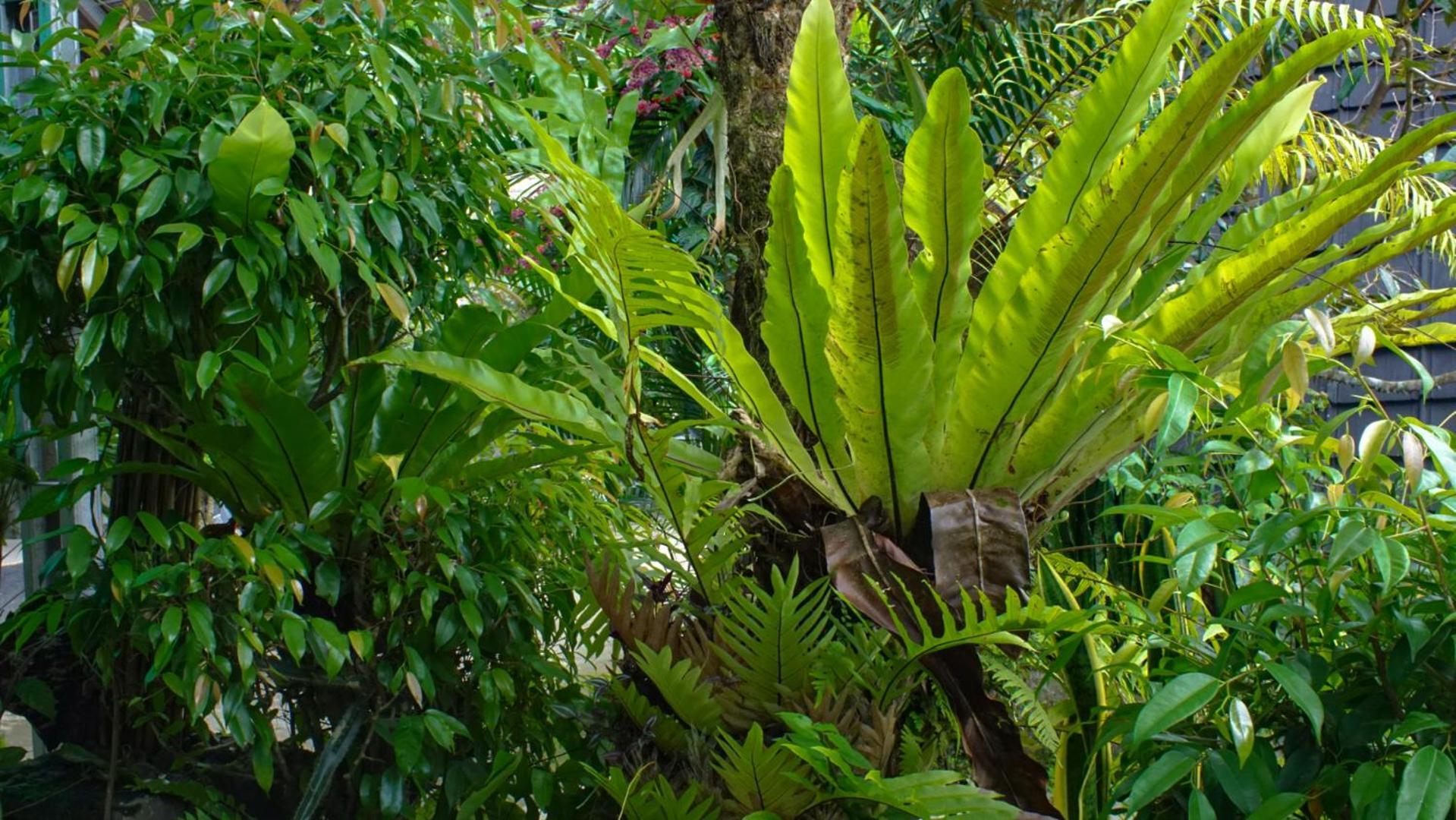 Goa Walet Cottage Praya Luaran gambar