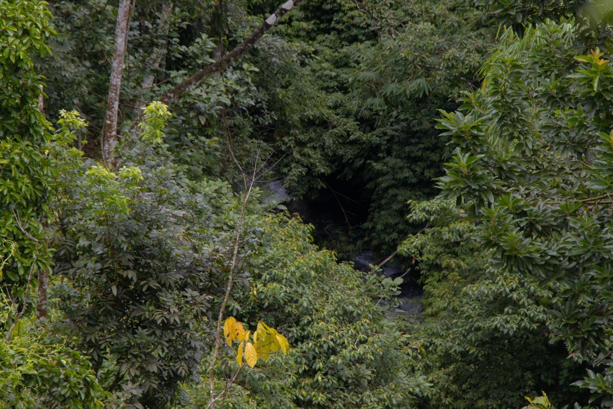 Goa Walet Cottage Praya Luaran gambar