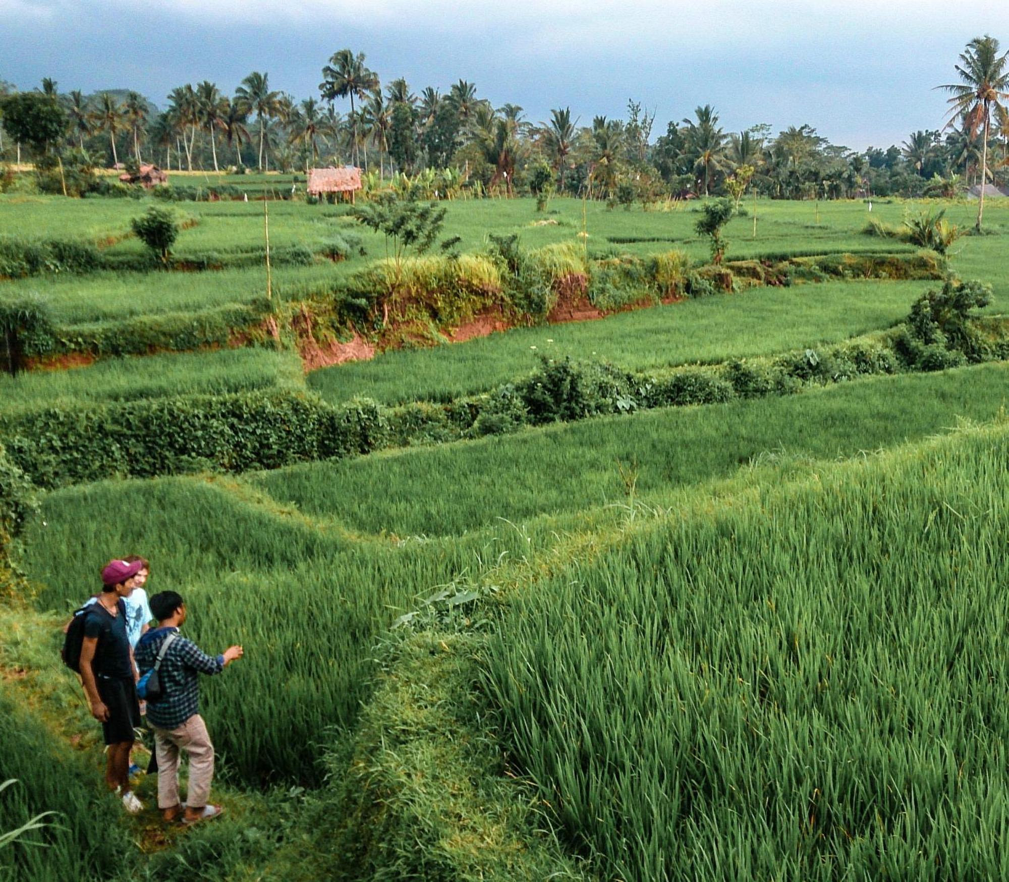 Goa Walet Cottage Praya Luaran gambar
