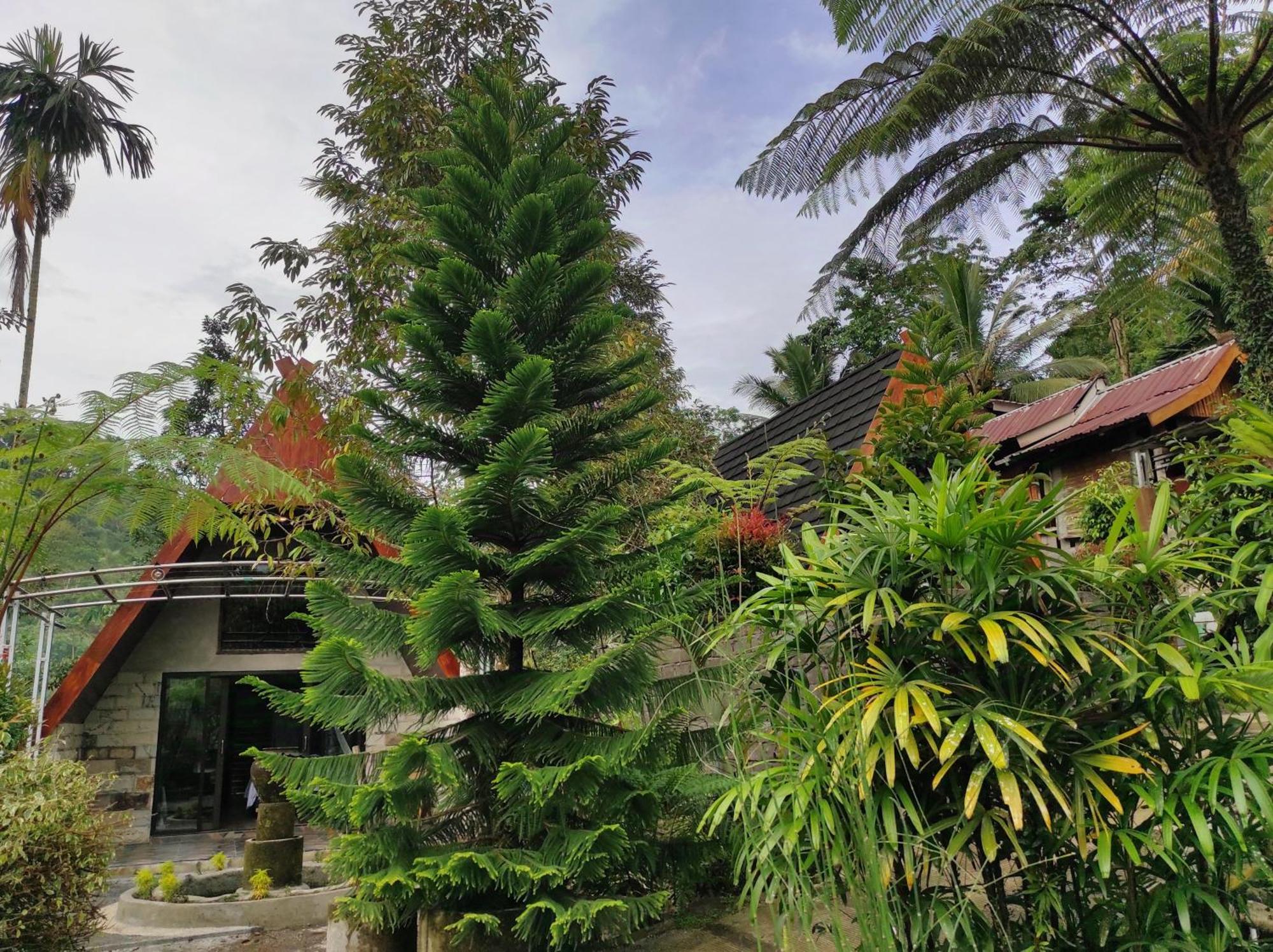 Goa Walet Cottage Praya Luaran gambar