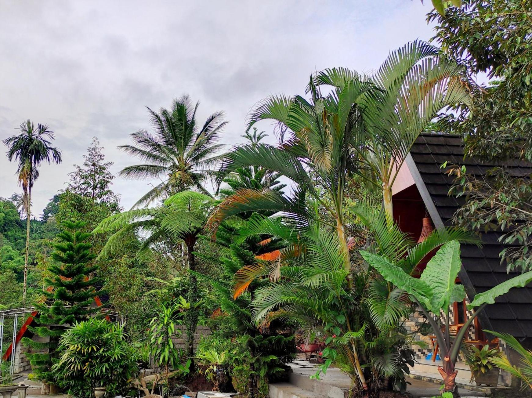 Goa Walet Cottage Praya Luaran gambar